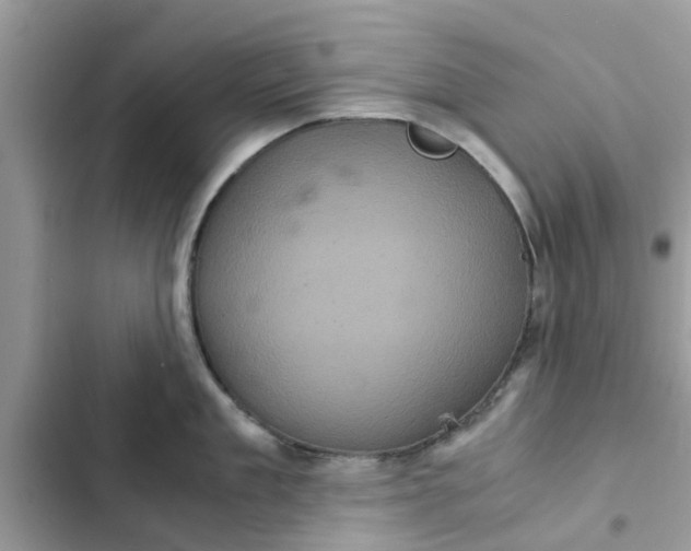 X0000102340909200808151725