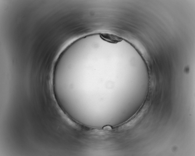 X0000102340910200808151725