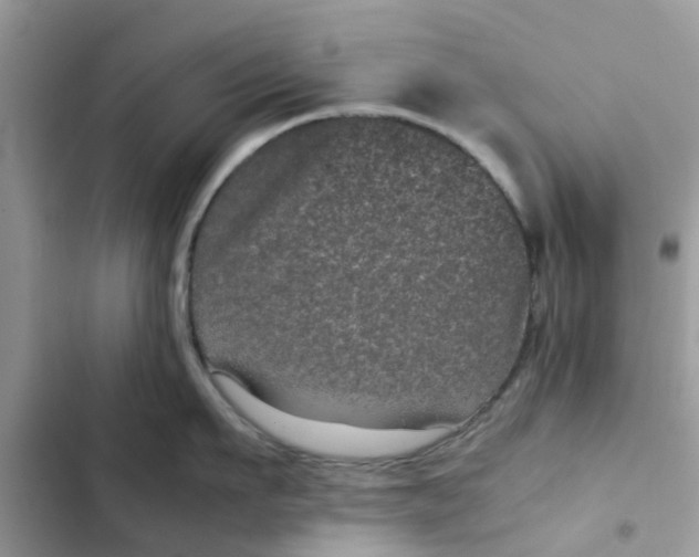 X0000102340911200808151725