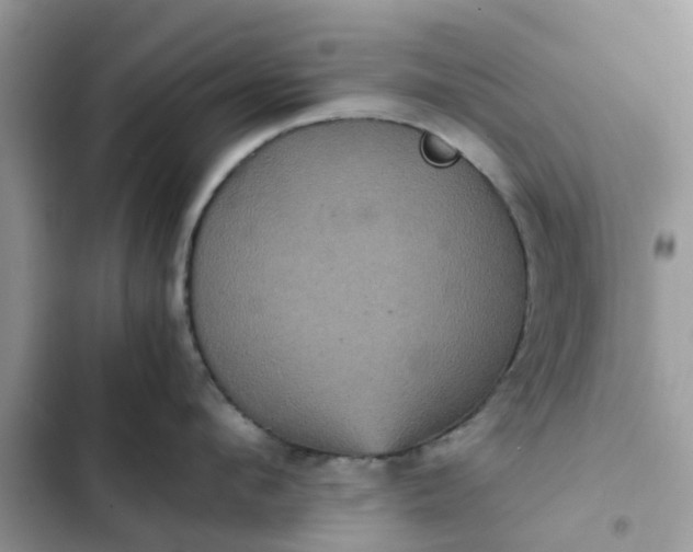 X0000102340912200808151725