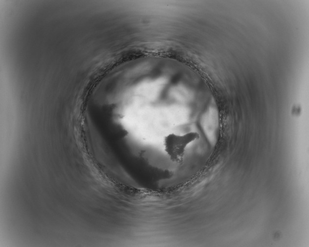 X0000102340913200808151724