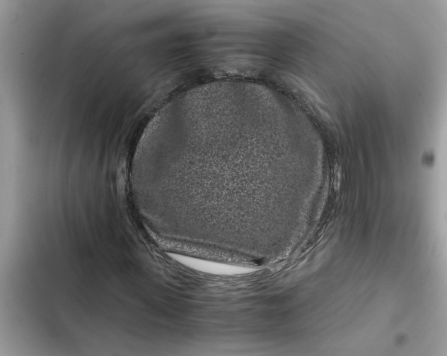 X0000102340915200808151724