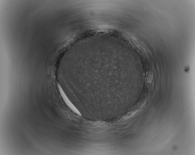 X0000102340916200808151724