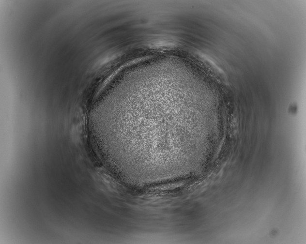 X0000102340917200808151724