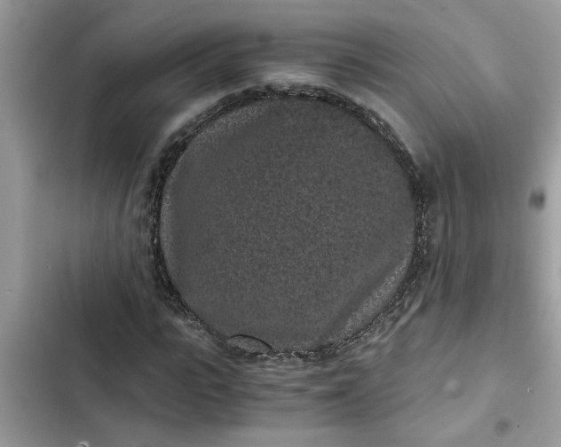 X0000102340919200808151724