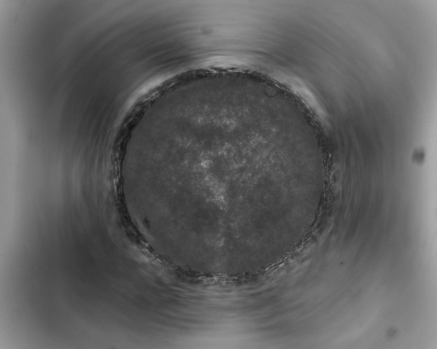 X0000102340920200808151724