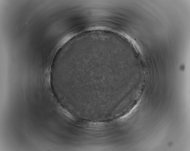 X0000102340921200808151724