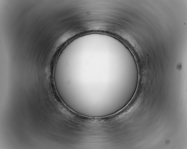 X0000102340922200808151724