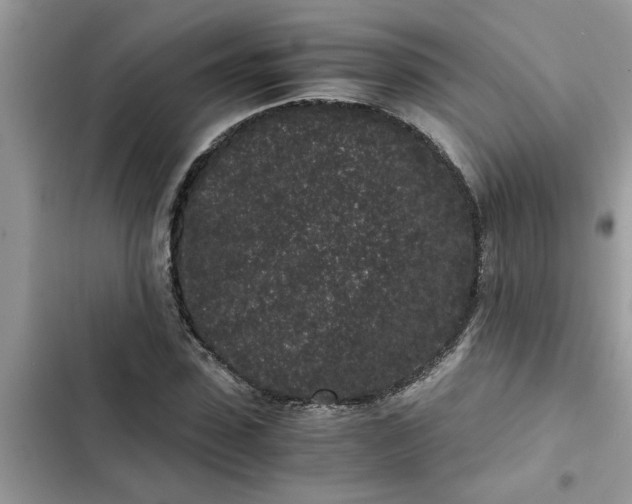 X0000102340923200808151724