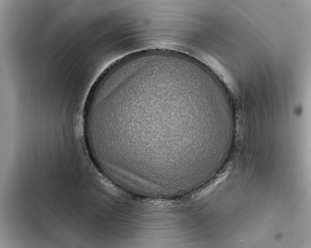 X0000102340924200808151724