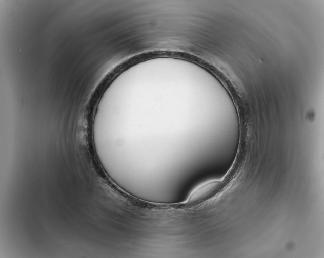 X0000102340926200808151724