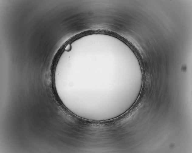 X0000102340927200808151724