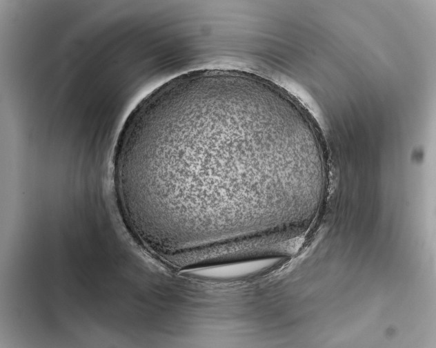 X0000102340928200808151724