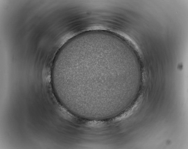 X0000102340929200808151724