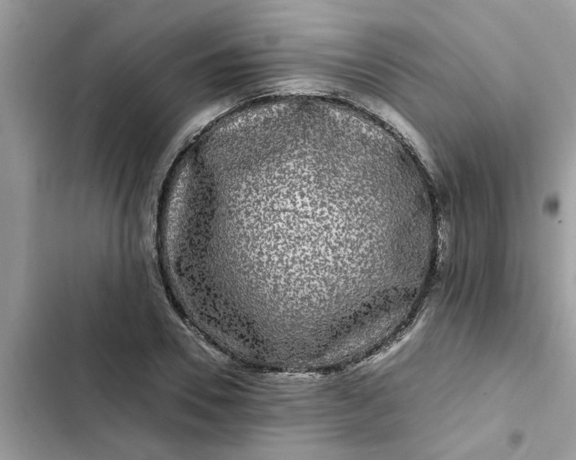 X0000102340930200808151724