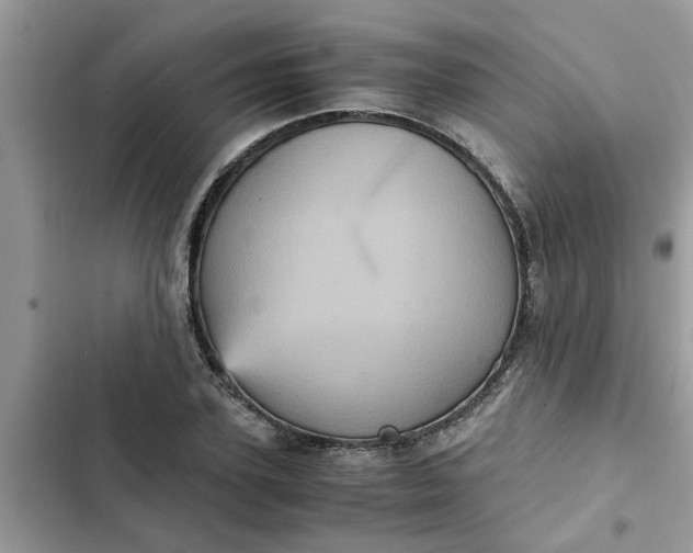 X0000102340931200808151724