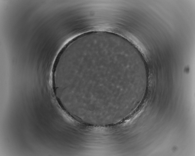 X0000102340932200808151724