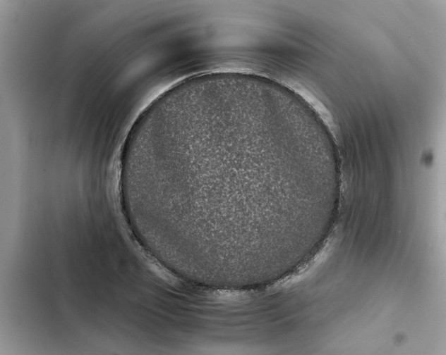 X0000102340933200808151724