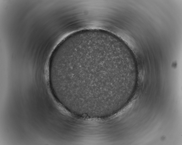 X0000102340934200808151724