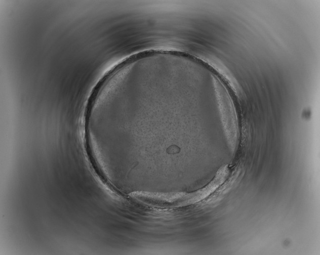 X0000102340935200808151724