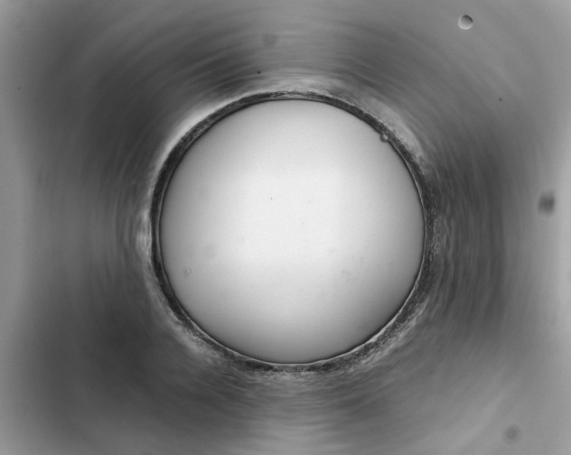 X0000102340936200808151724