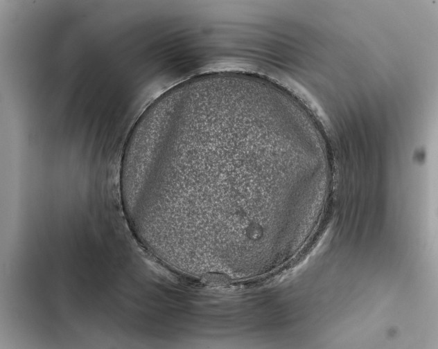 X0000102340937200808151724