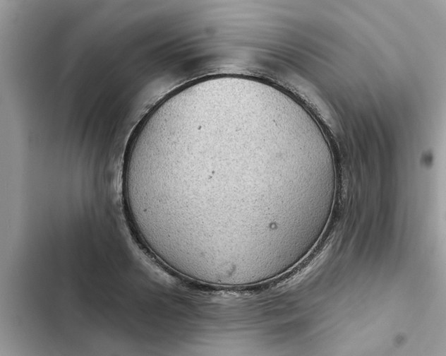 X0000102340938200808151724