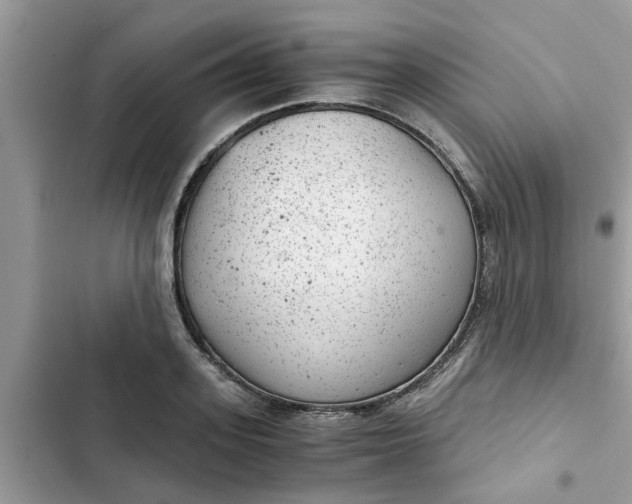 X0000102340939200808151724