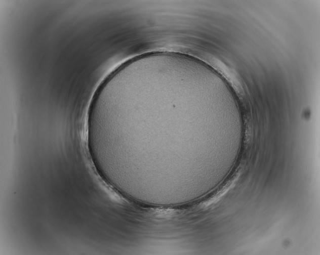 X0000102340940200808151724