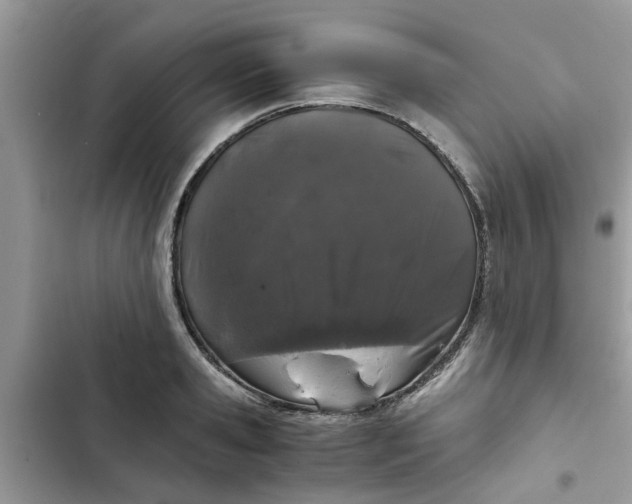 X0000102340941200808151724