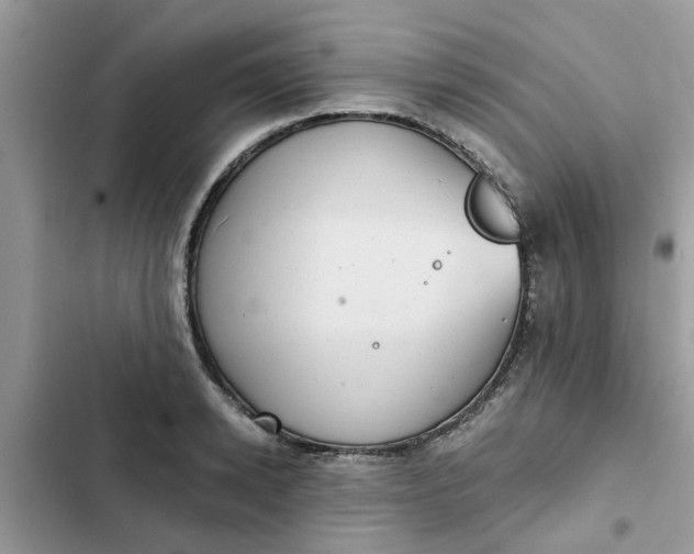 X0000102340942200808151724