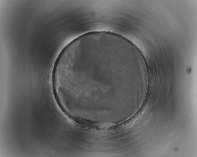 X0000102340943200808151725