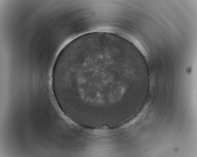 X0000102340944200808151725