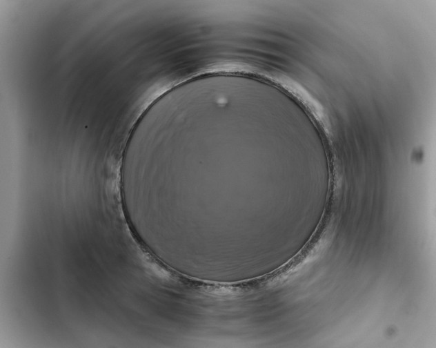 X0000102340945200808151725