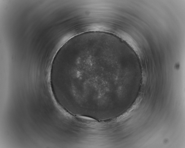 X0000102340946200808151725