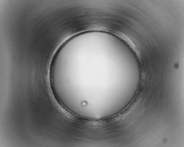 X0000102340947200808151725