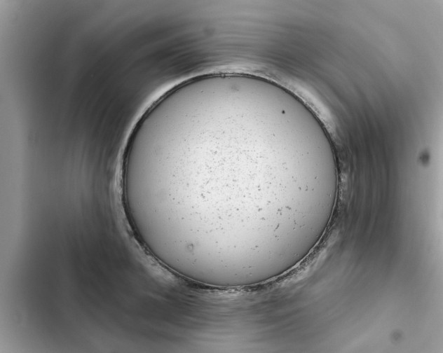 X0000102340948200808151725