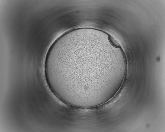 X0000102340949200808151725