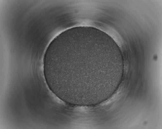 X0000102340950200808151725