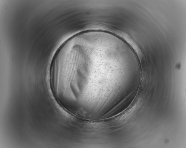 X0000102340951200808151725