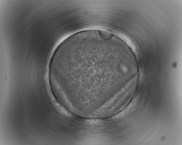 X0000102340952200808151725