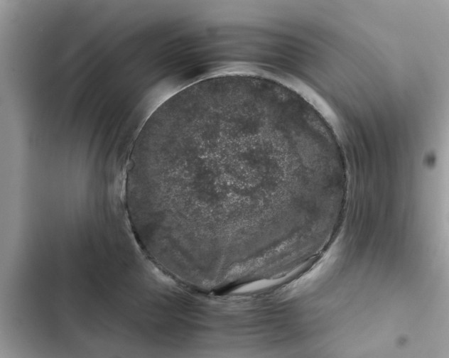 X0000102340953200808151725