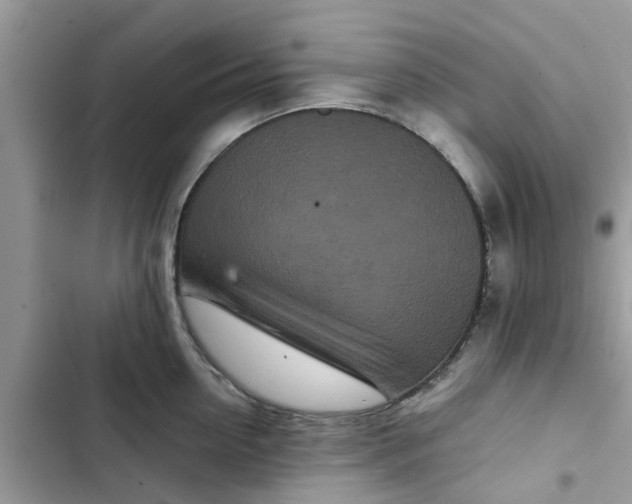 X0000102340954200808151725