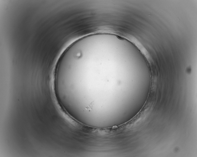 X0000102340955200808151725