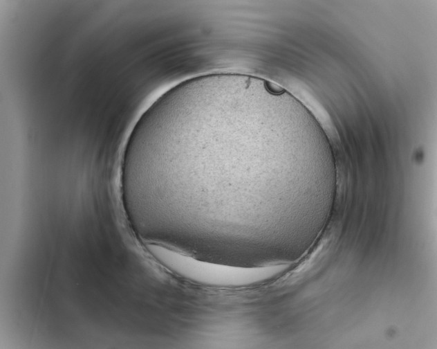 X0000102340956200808151725