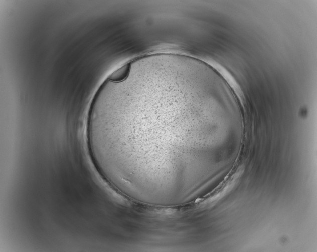 X0000102340957200808151725