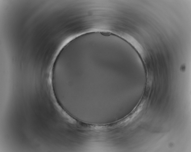 X0000102340958200808151725