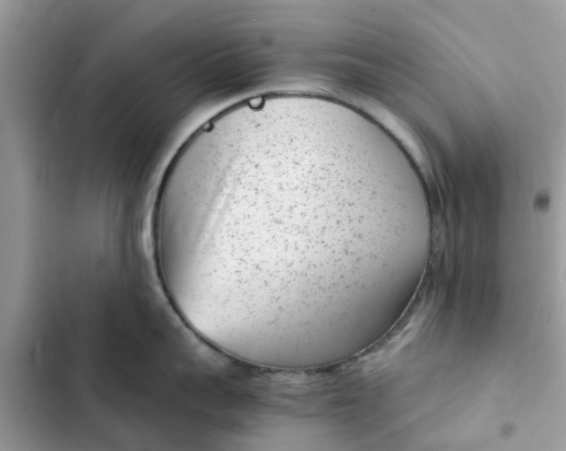 X0000102340959200808151725