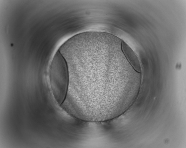 X0000102340960200808151725