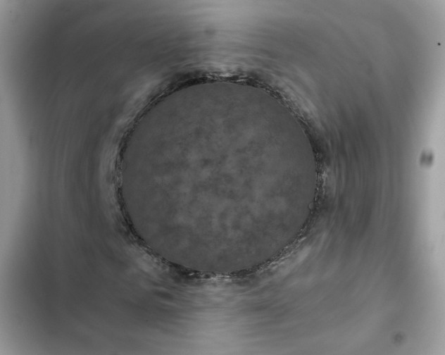 X0000102340961200808151724